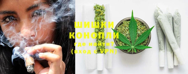PSILOCYBIN Козловка