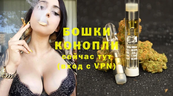 mdpv Кодинск