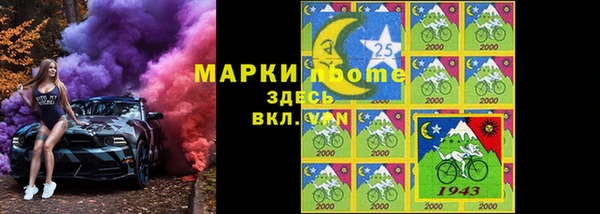 PSILOCYBIN Козловка