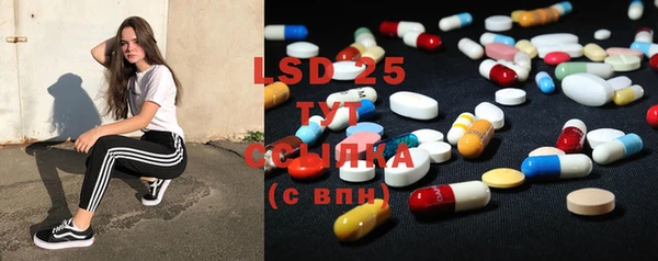 PSILOCYBIN Козловка
