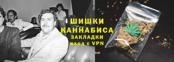 PSILOCYBIN Козловка