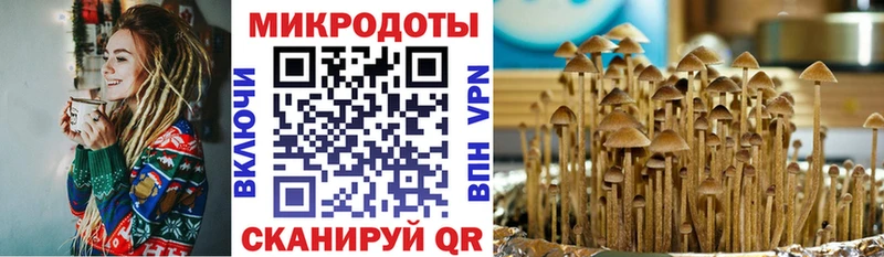 Псилоцибиновые грибы прущие грибы  Купить где  Таганрог 